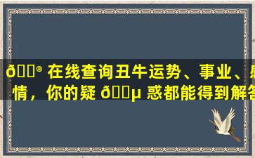💮 在线查询丑牛运势、事业、感情，你的疑 🐵 惑都能得到解答吗